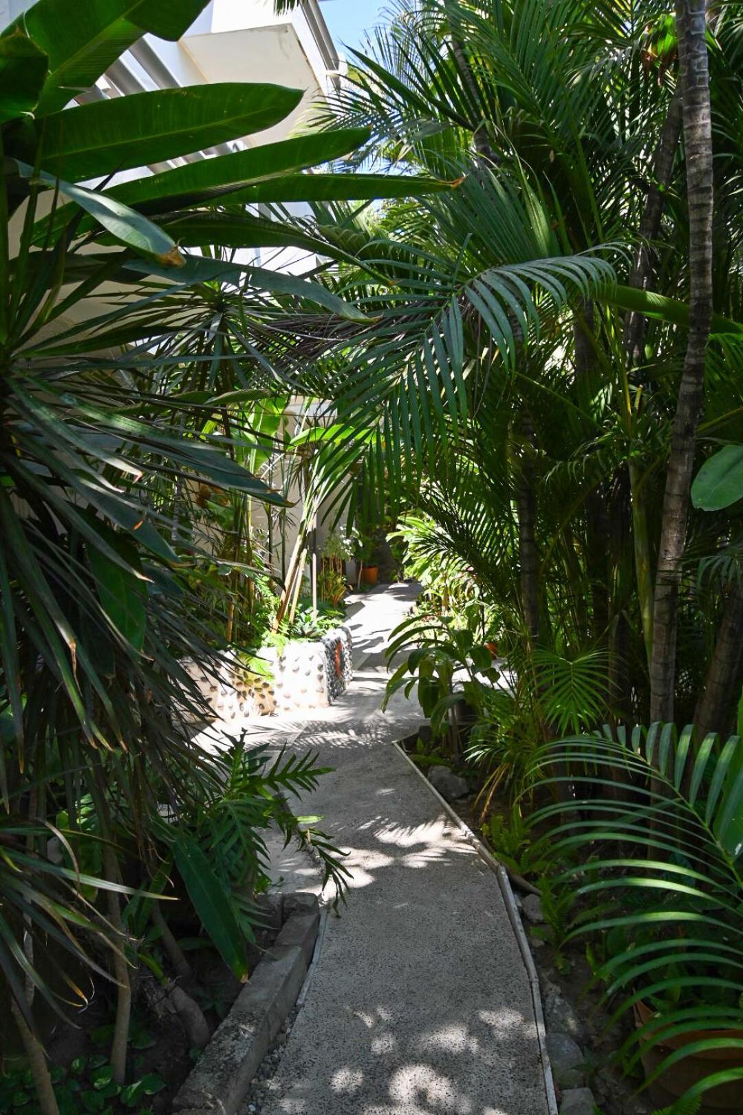 Hotel Palmeras Bucerías Exterior photo